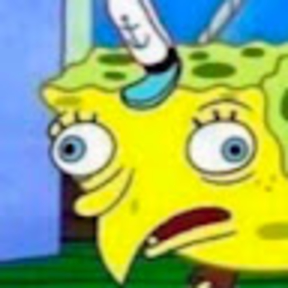 Meet your Posher, Karly